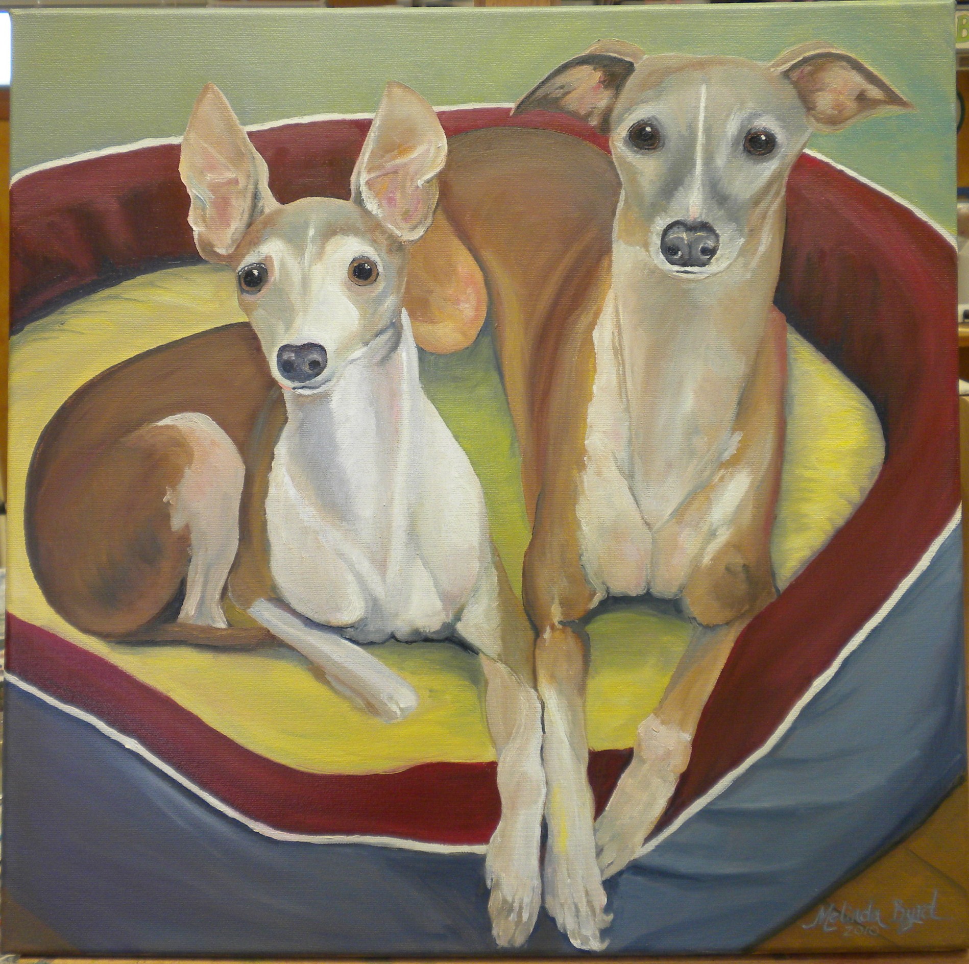 Italian-Greyhounds-oil-paint-portrait