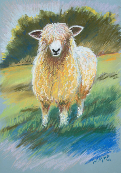 Sheep-in-field-pastela
