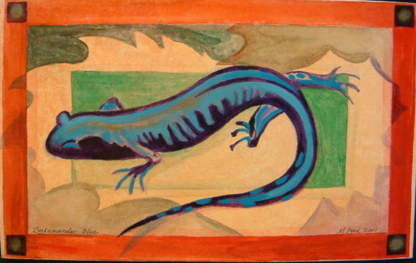 TC-Salamander-Bluea