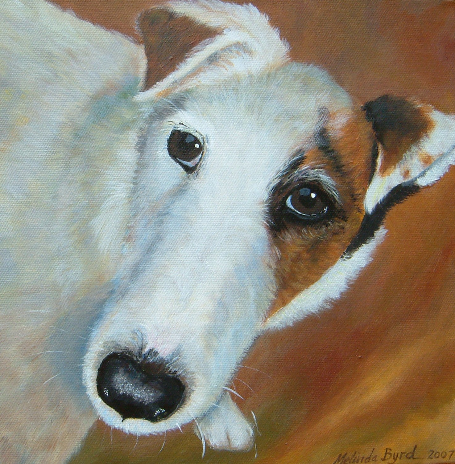 Terrier-portrait