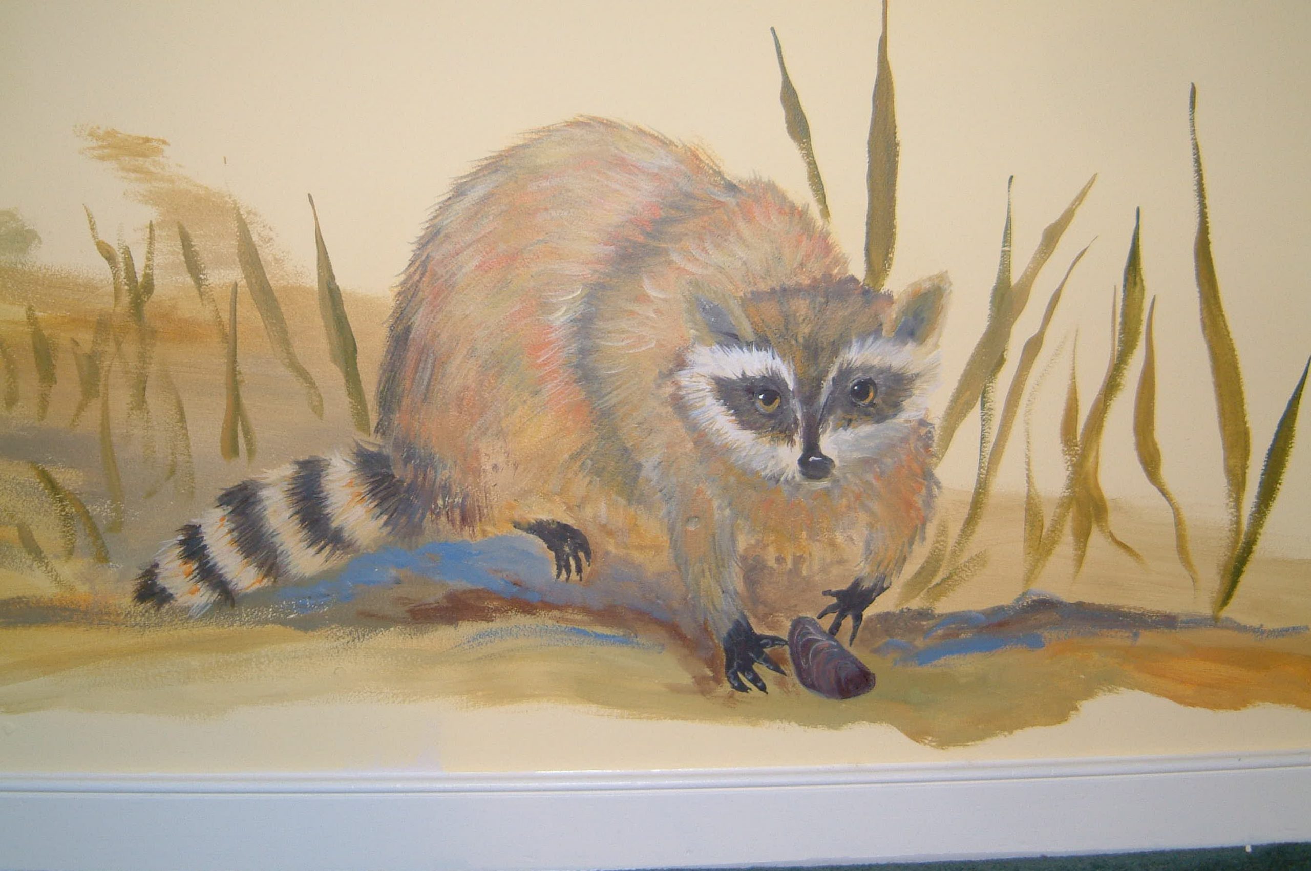 Wall-Mural-Raccoon
