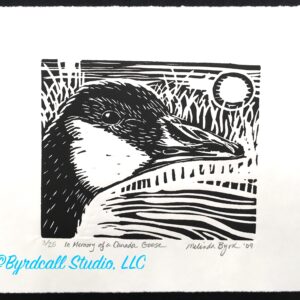 Memory of a Canada Goose