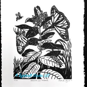 Monarch and Milkweed