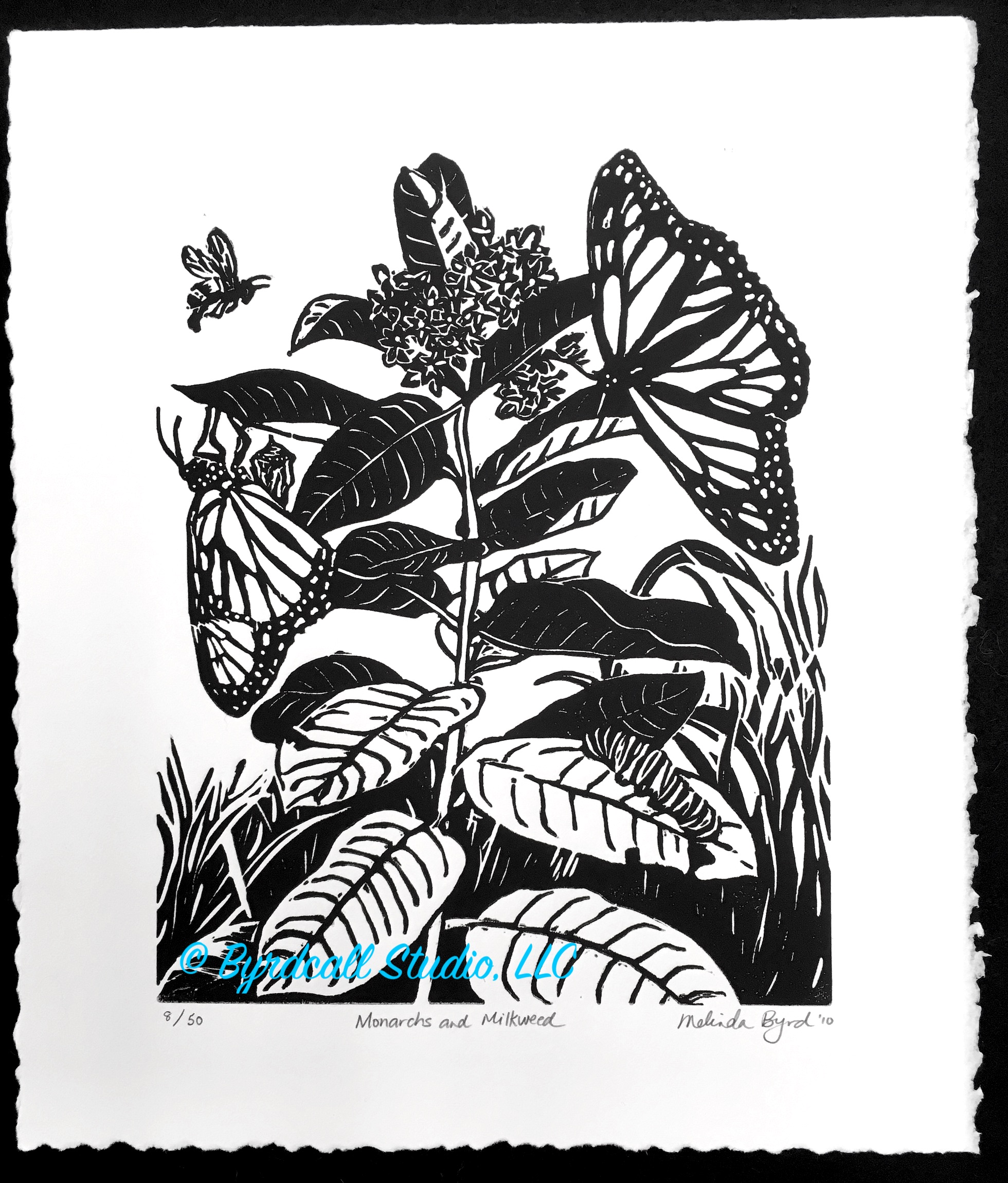 Monarch and Milkweed