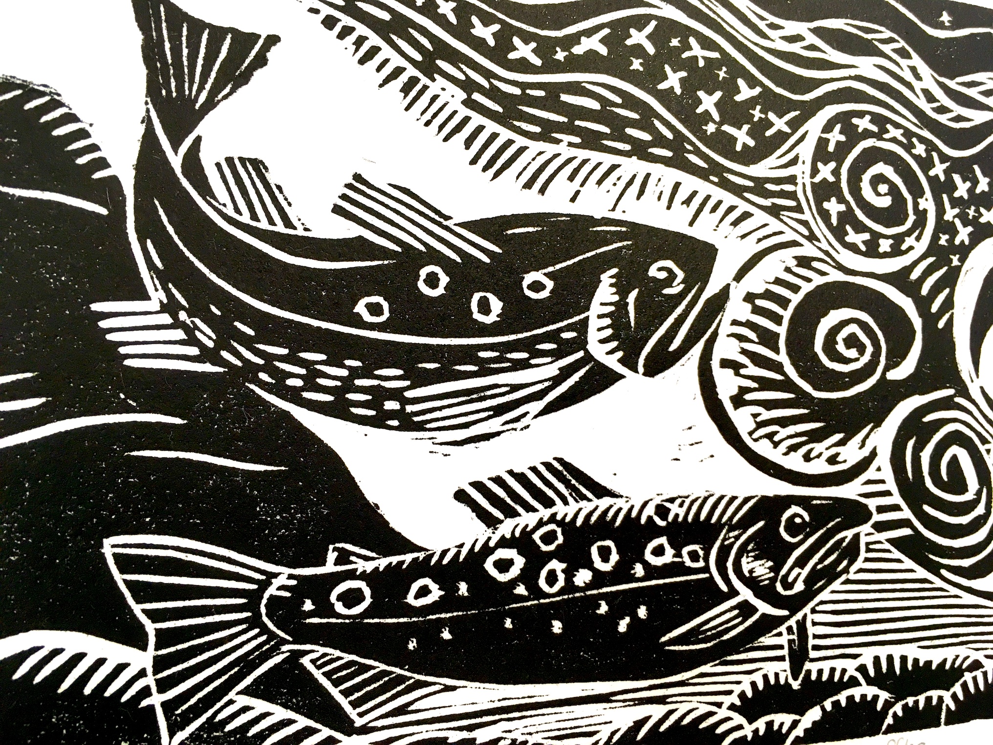 Action in the Riffles - Image 2