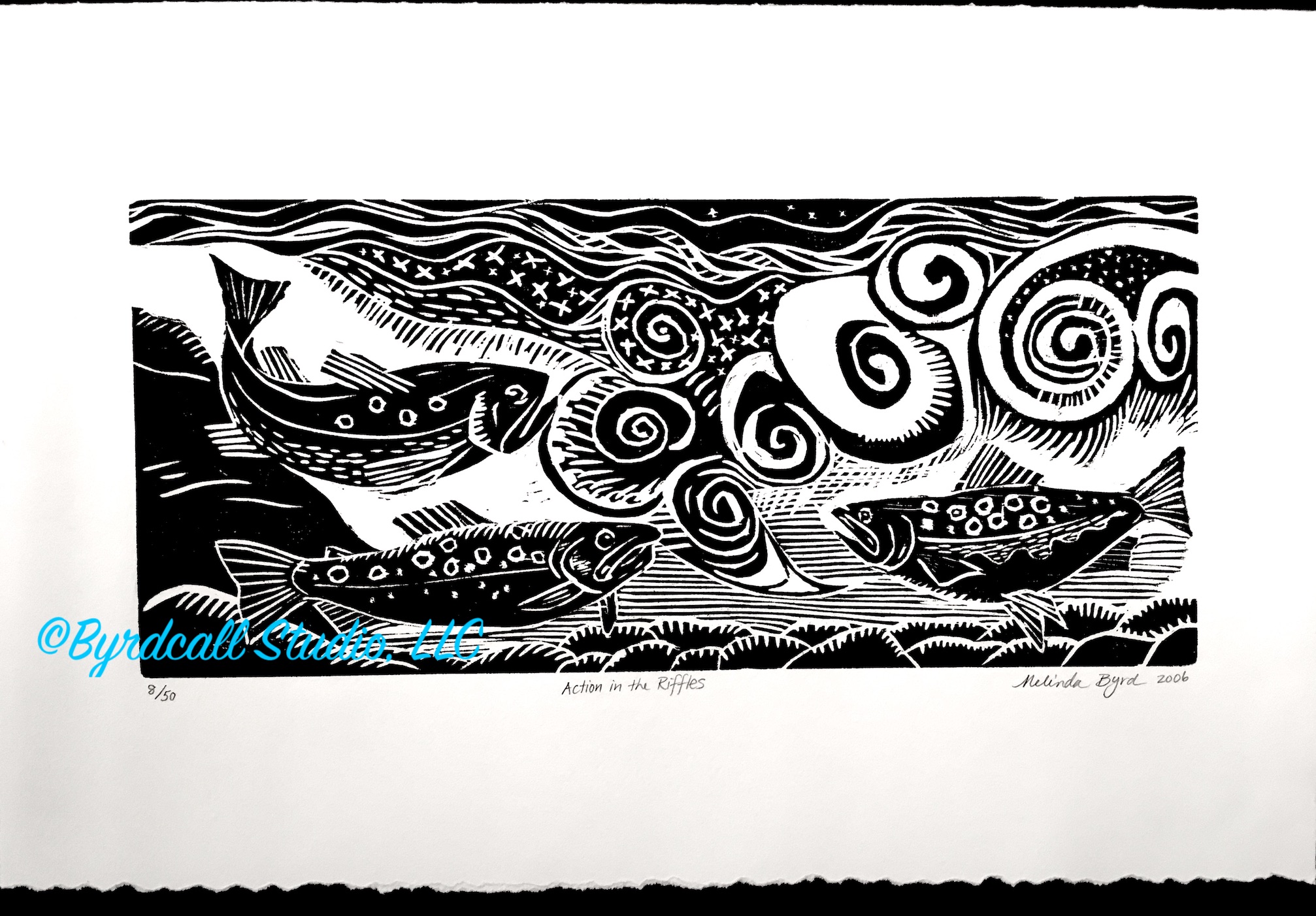 Action in the Riffles